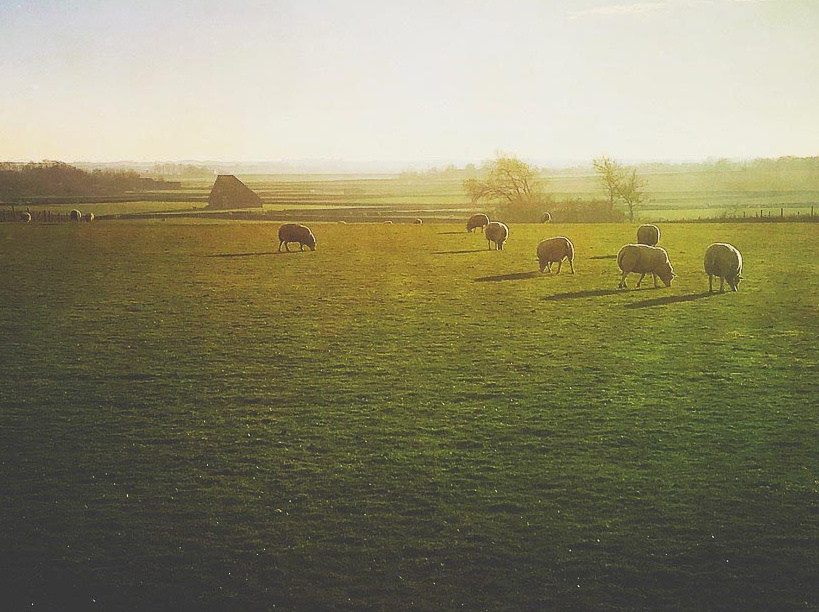 Natuur en landschap zitten in de knoop en de boer ook …